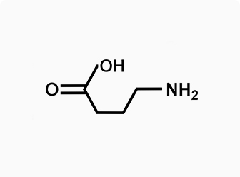 Acide γ-aminobutyrique