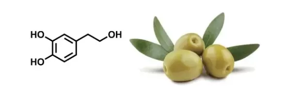 Effets anti-âge et anti-rides de l'antioxydant hydroxytyrosol