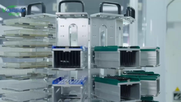 Production de nicotinamide Viablife : de nouvelles technologies pionnières pour un avenir durable