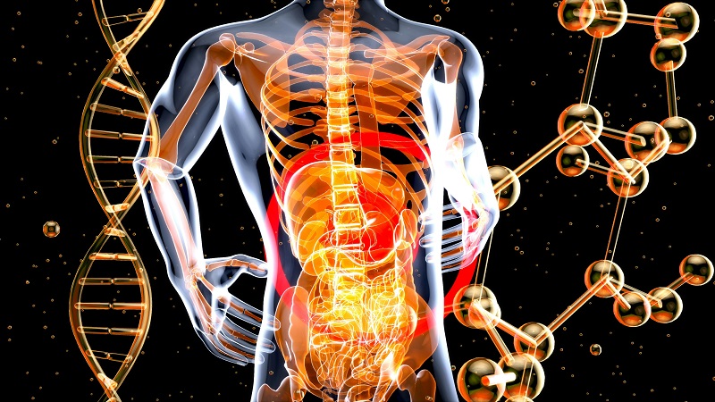 Les produits à base de D-Tagatose en tant que prébiotiques contribuent à la santé intestinale humaine