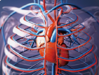 Metabolic Pathways of Hydroxytyrosol