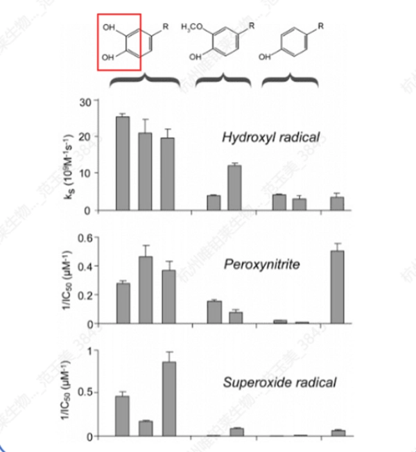 Double mécanisme antioxydant interne Dual Internal Antioxidant Mechanism