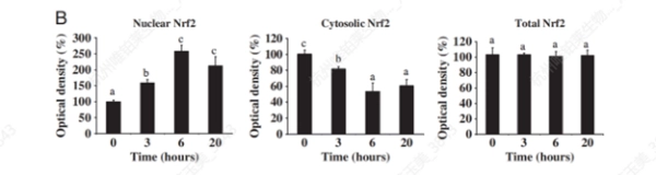 Activation du réseau de défense cellulaire Nrf2 Activating the Nrf2 Cellular Defense Network