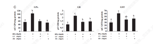 Activation du réseau de défense cellulaire Nrf2 Activating the Nrf2 Cellular Defense Network