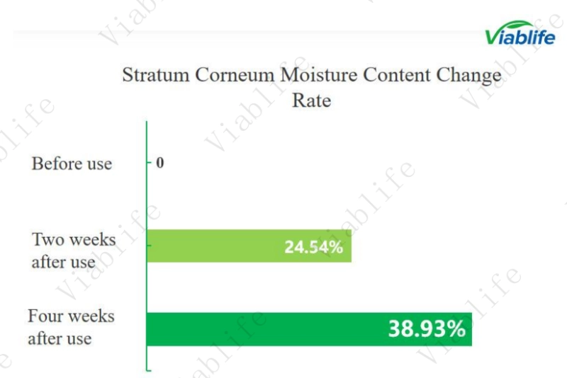 Testing Framework and Test metrics