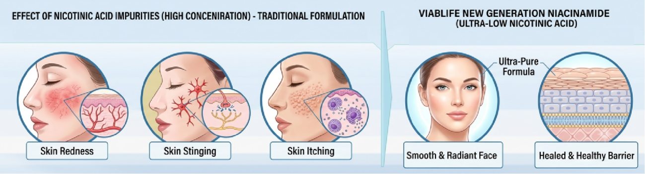Niacinamide de qualité supérieure Top Niacinamide